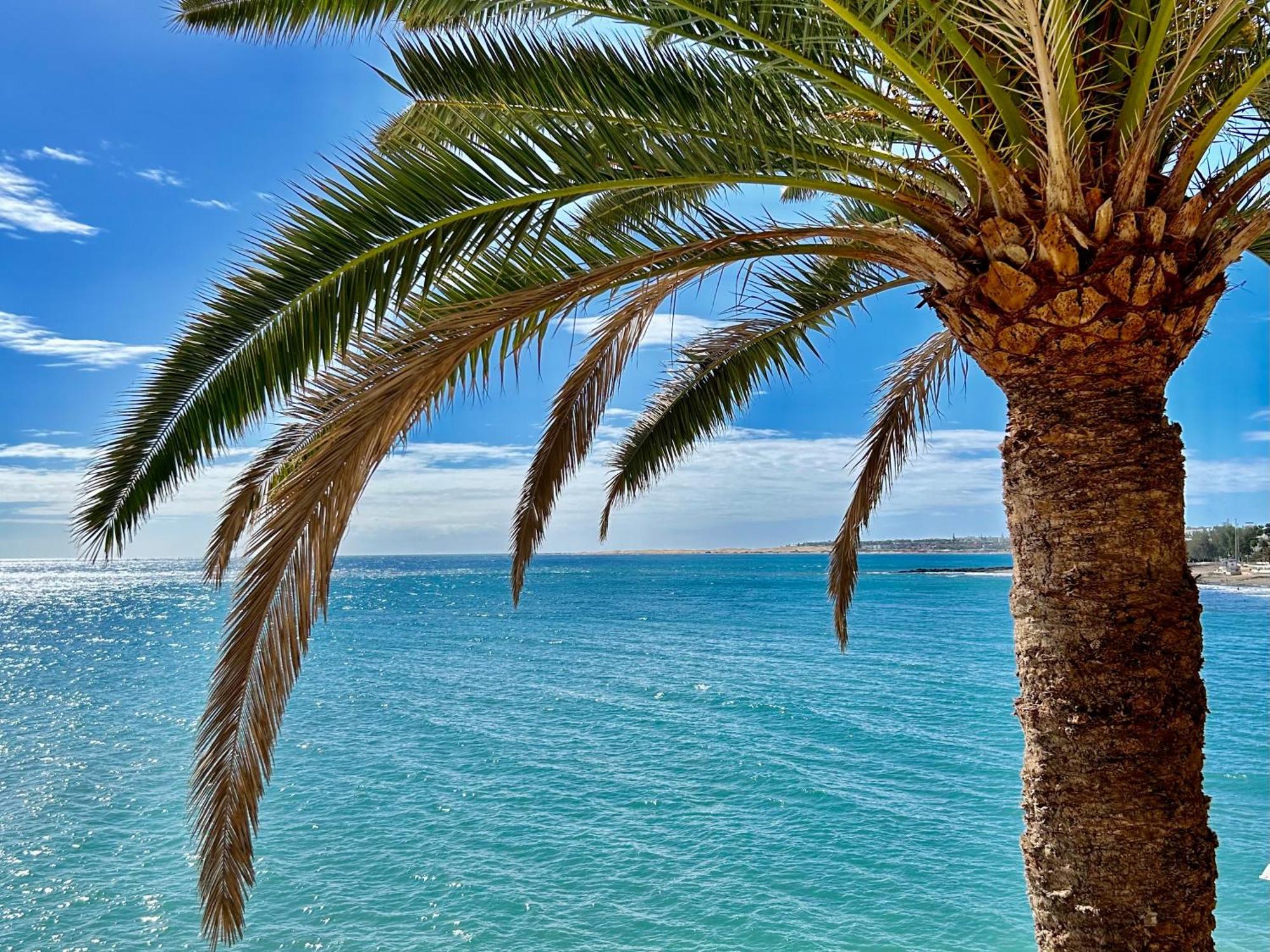 Sobre El Mar Con Vistas A Las Dunas De Maspalomas San Agustin  Ngoại thất bức ảnh